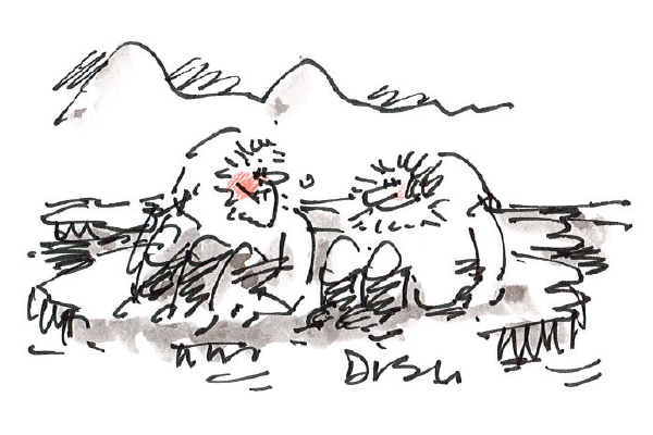 ‘Did the ice move for you?’