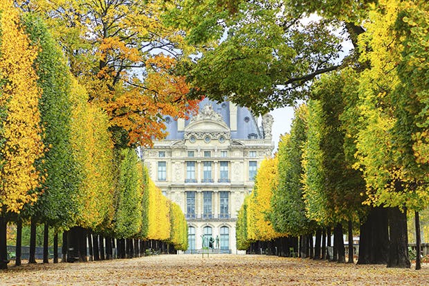 Manet would recognise it: the Jardin des Tuileries