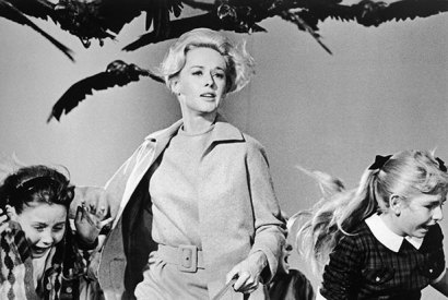 Tippi Hedren helps save schoolchildren in The Birds. Hitchcock confided to François Truffaut that he’d had ‘some emotional problems’ with Hedren during the shoot. For the final scene, live birds were attached to Hedren’s clothes. The actress became increasingly hysterical over the course of the week it took to film it, and when a bird finally went for her eyes, she collapsed