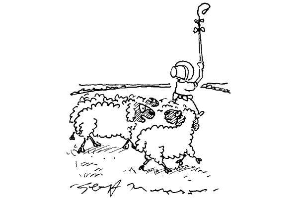 ‘Apparently she used to be a city tour guide.’