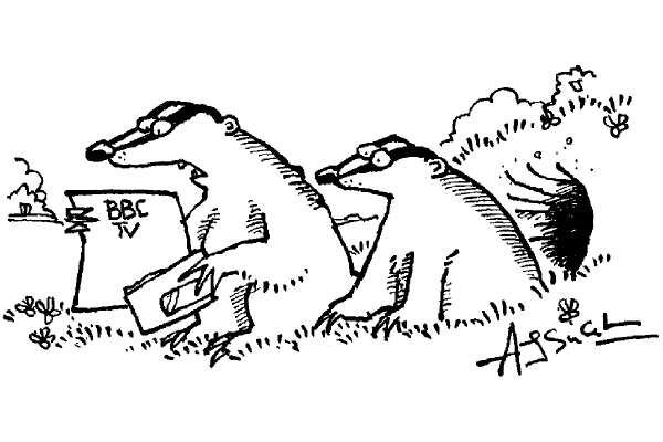 ‘It’s from the BBC, they say we need a licence for our sett.’