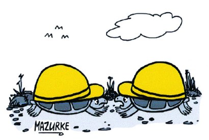 ‘It’s health and safety gone mad.’