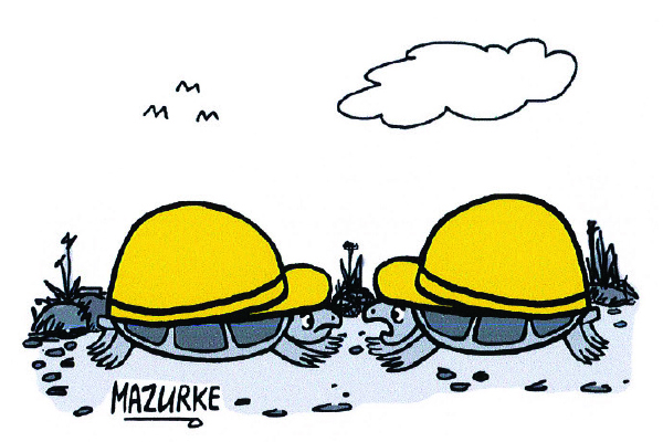 ‘It’s health and safety gone mad.’