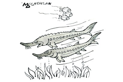 ‘And stop calling me Nicola.’