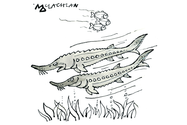 ‘And stop calling me Nicola.’