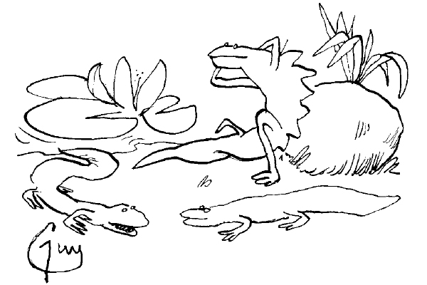 ‘Crested, yes, and he’s definitely a newt. But great?’