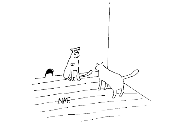 ‘I’m doing security for them — I need the money.’