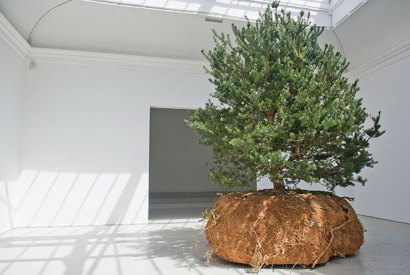 One of Céleste Boursier-Mougenot’s Scots pines in the French Pavilion