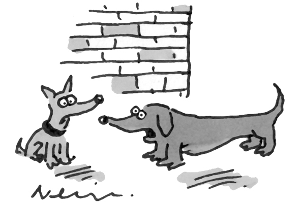 ‘I can understand why Speaker Bercow doesn’t like walking — he’s only got little legs’