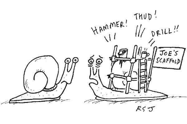 ‘It’s a nightmare living in a place while you do it up.’