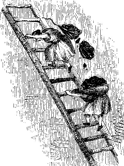 What happens when they’ve climbed the ladder?