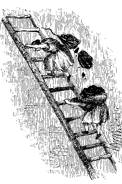 What happens when they’ve climbed the ladder?