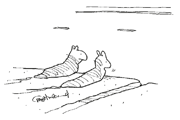 ‘OK, road’s clear ...Go!’