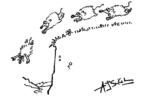 ‘I’m having second thoughts about our leadership selection process.’