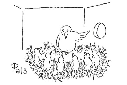 ‘From now on I want you all thinking outside the box.’