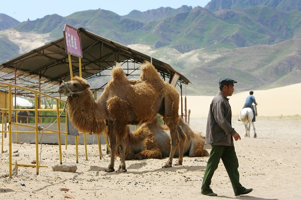 The edge of the Gobi desert, some 100km northwest of Beijing (Photo: Frederic J. Brown/AFP/Getty)