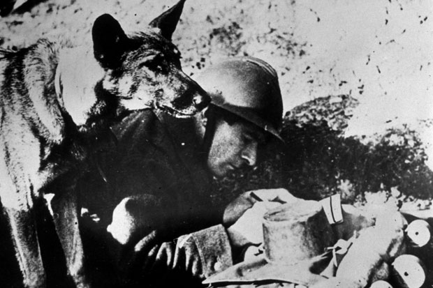 A soldiers best friend (Photo: Getty)