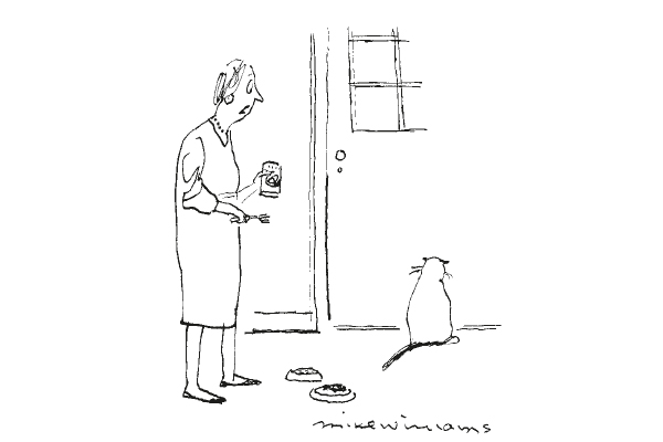 ‘You know there’s cats in Africa...’