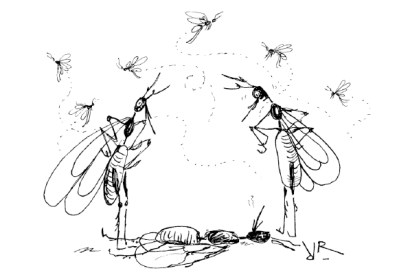 ‘Poor devil. Half-past eleven is far too young to die.’