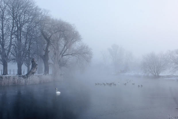 The shape-shifting Fens, thought to be the landscape of Beowulf and the haunt of Grendel