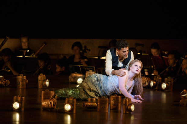 Water torture: Aida on Sydney Harbour