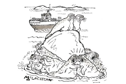 ‘And there, folks, is a colony of common seals and also a couple of upper-class seals.’