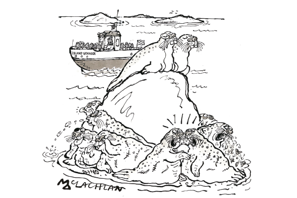 ‘And there, folks, is a colony of common seals and also a couple of upper-class seals.’