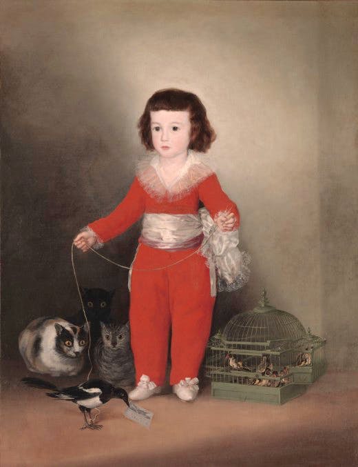 Goya's 'Manuel Osorio Manrique de Zuñiga' (1788)