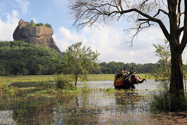 Paradise — with a strong undercurrent of violence