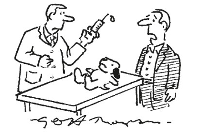 ‘He was a smoking beagle. Can he have a last cigarette?’