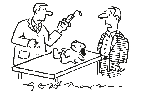 ‘He was a smoking beagle. Can he have a last cigarette?’