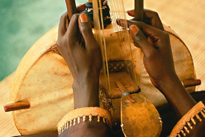 Detail of the bridge of the kora, a harp made from calabash and cow hide, with strings aligned in a perpendicular plane