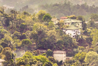 Kandy mountains: buzzing bees and cigarette trees, pretty much