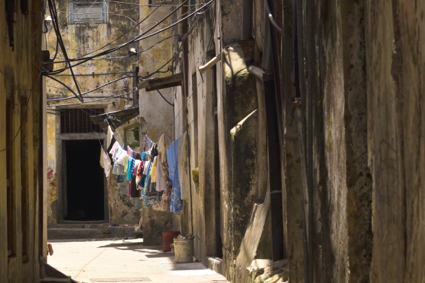 Palaces and alleyways: Stone Town
