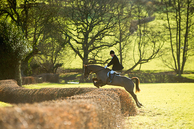 Charles and Tommy clearing a hedge