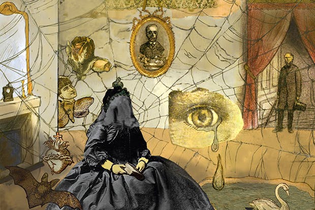 Illustrated by Carolyn Gowdy