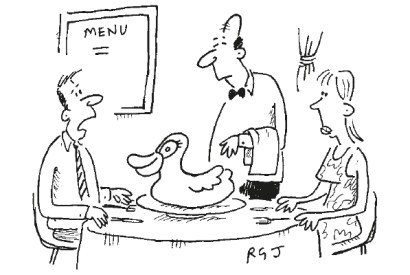 ‘This duck’s a bit rubbery.’