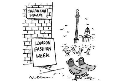 ‘They don’t feed them, but still they come.’