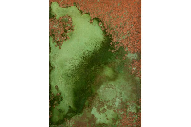 ‘Untitled (Oxidation Painting)’, 1978, by Andy Warhol