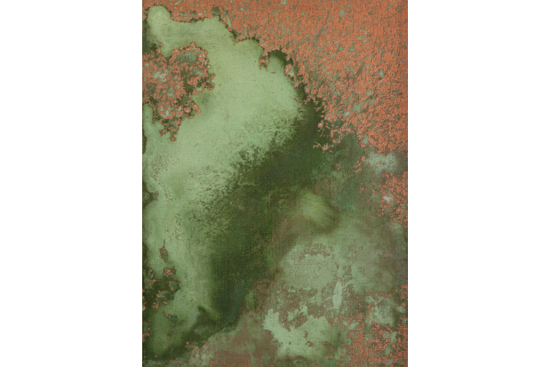 ‘Untitled (Oxidation Painting)’, 1978, by Andy Warhol