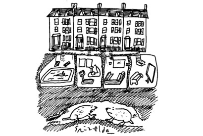 ‘I remember when all this was mud.’