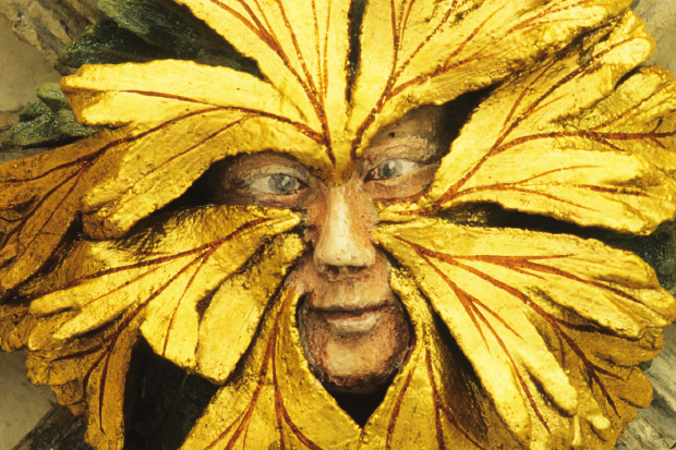 The Green Man on a roof boss in Norwich cathedral