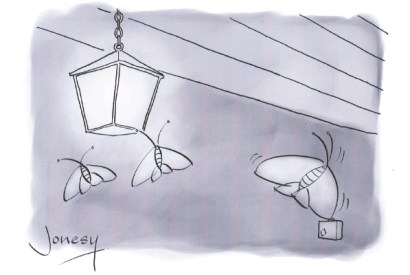 ‘Screw your porch lantern – I’m headed for the big city lights!’