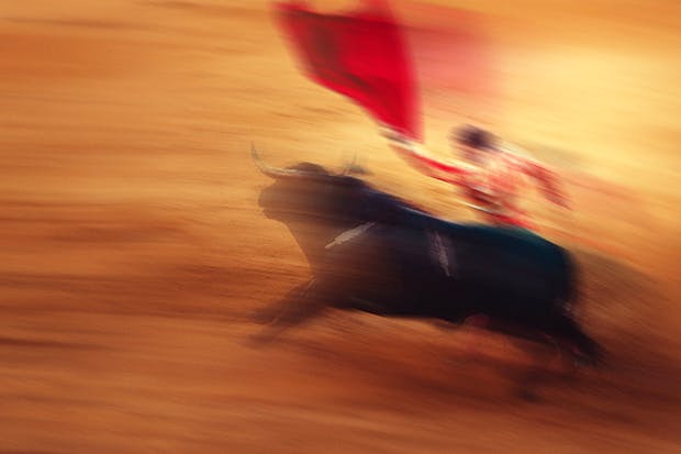 The demise of bullfighting has been predicted for 100 years, yet it lives on