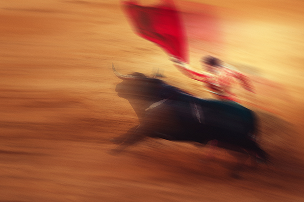 The demise of bullfighting has been predicted for 100 years, yet it lives on