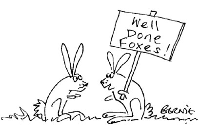 ‘It’s hard not to get carried along by it all!’