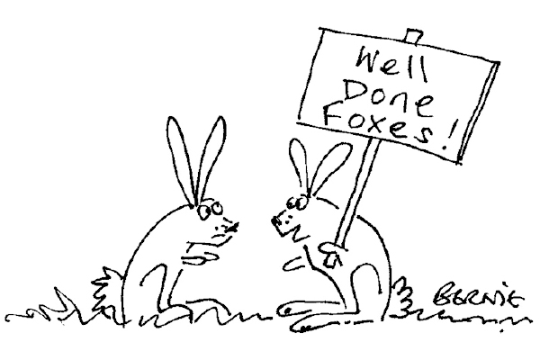 ‘It’s hard not to get carried along by it all!’