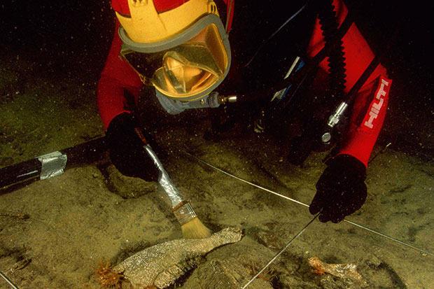 Buried treasure: an archaeologist diver brushes clear a bovid jaw discovered in Aboukir Bay