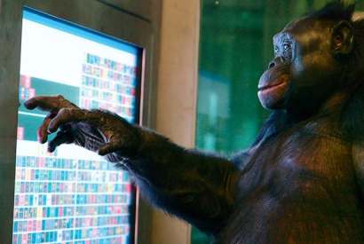 Anthropomorphism taken too far in Storyville’s ‘Unlocking the Cage’