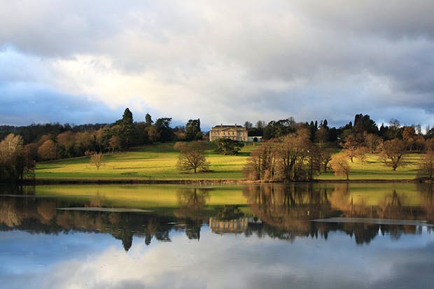 Capability and mustard: Gatton Park